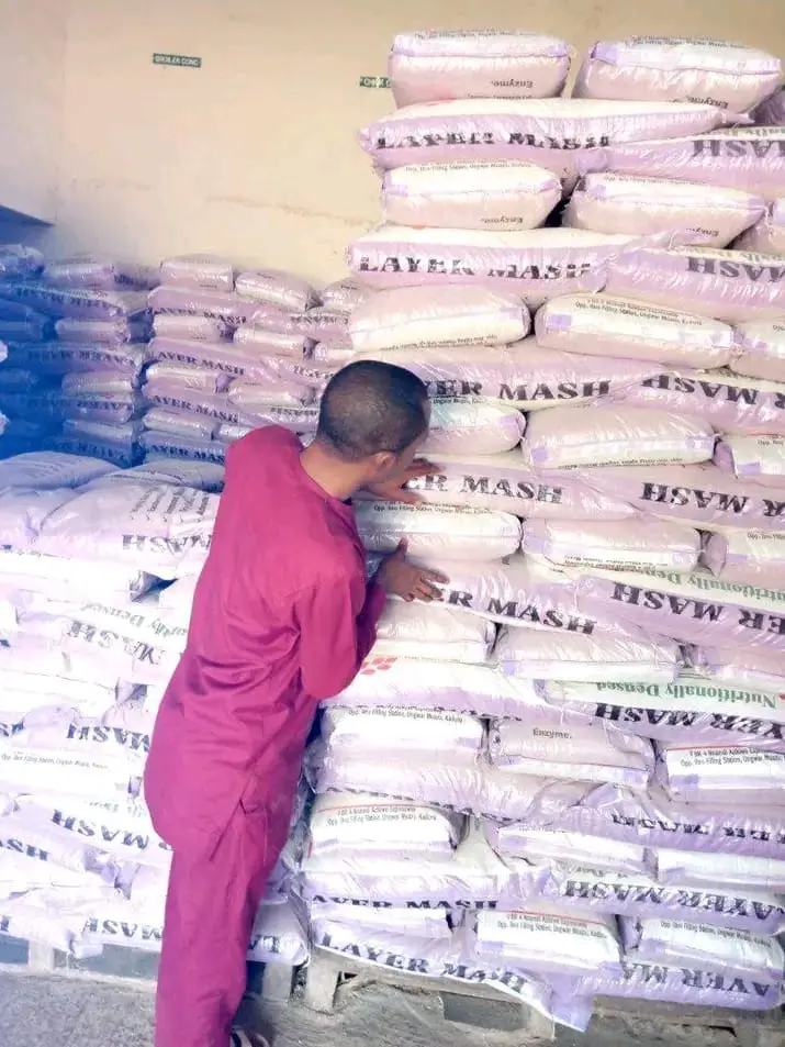 Biotin Feeds Layer Mash organised in the warehouse